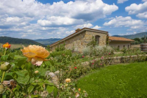 Villa Gialla